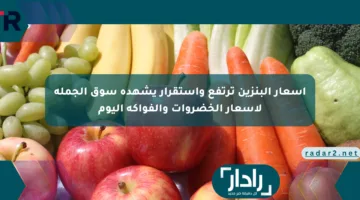 أسعار البنزين ترتفع واستقرار يشهده سوق الجملة لأسعار الخضروات والفواكه اليوم